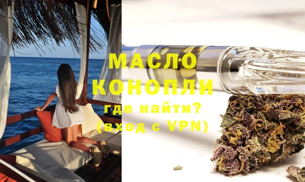 индика Нефтегорск