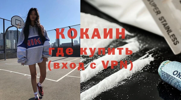 индика Нефтегорск