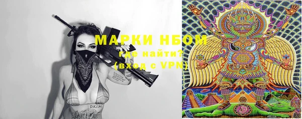 индика Нефтегорск